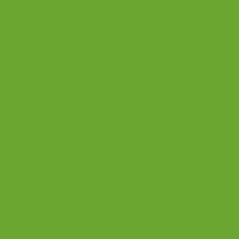 ORAFOL Lipni plėvelė Oracal 641-063M Lime-tree green, matinė