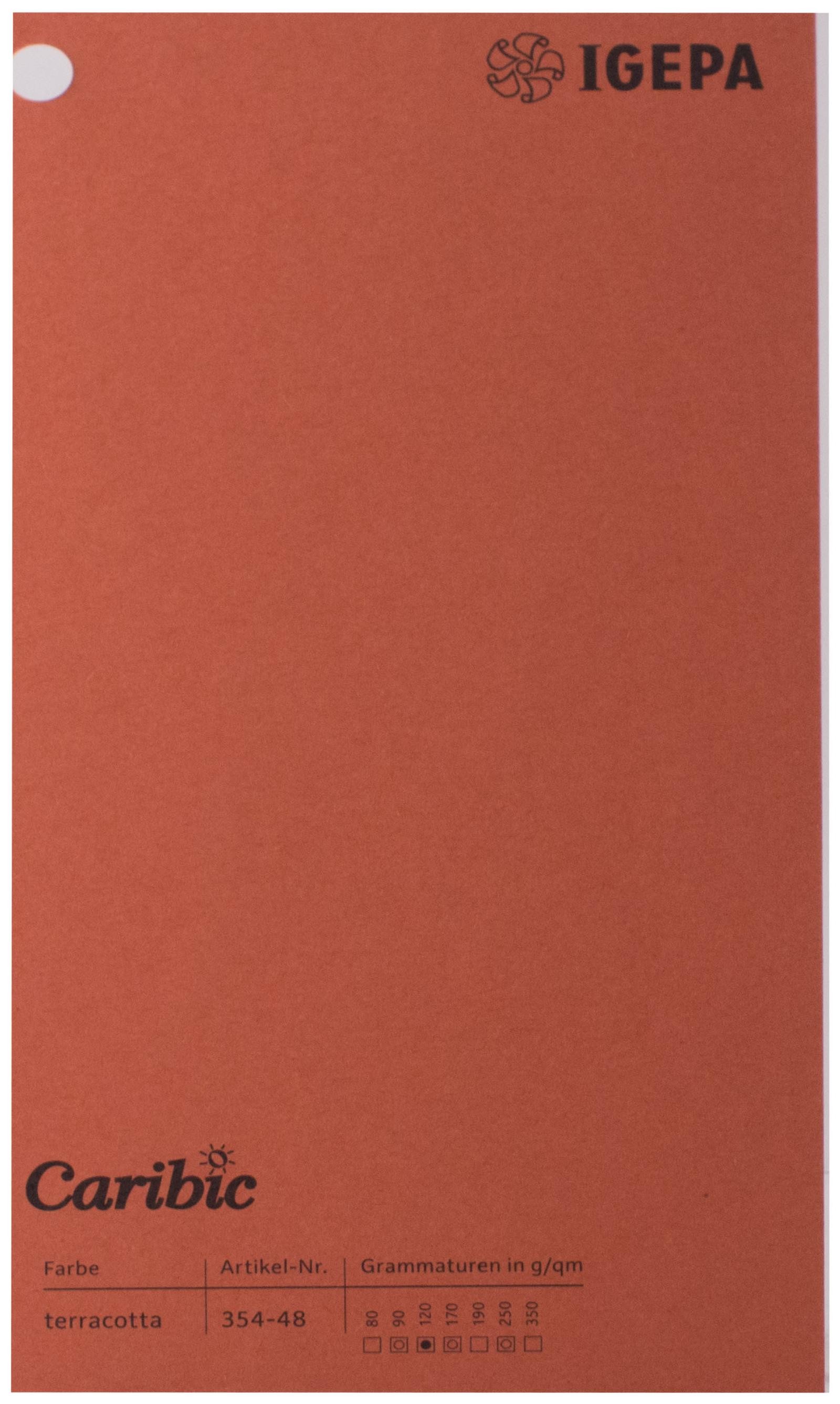 Favini Spalvotas popierius Caribic Nr.48 250g/m2 65x92 cm (terakota)