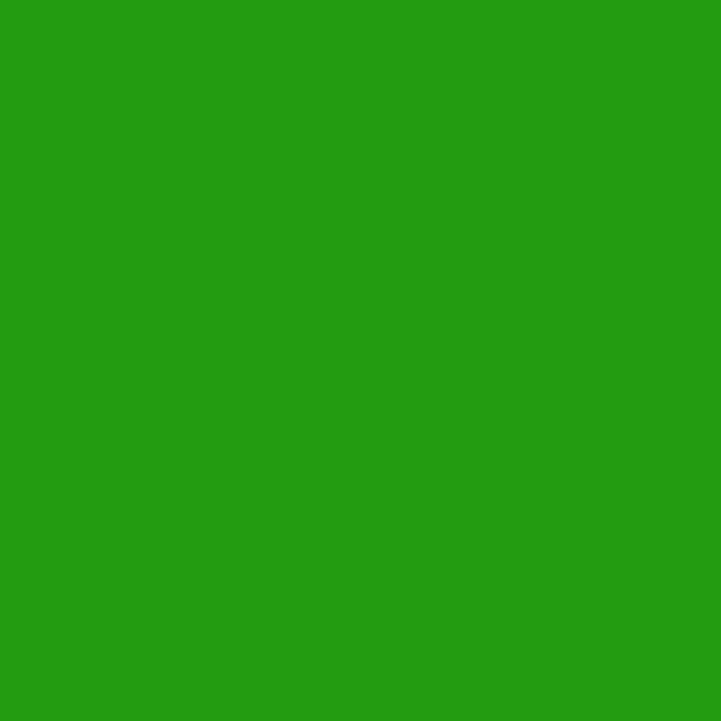 ORAFOL Lipni plėvelė Oracal 641-064M Yellow green, matinė