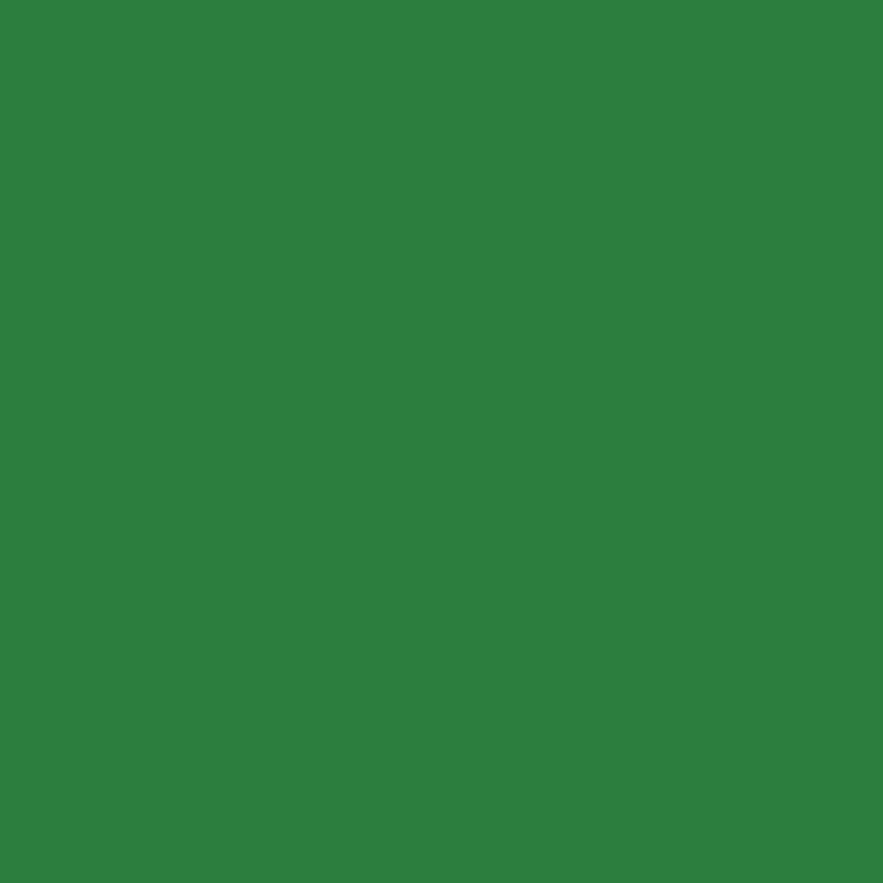ORAFOL Vitražinė plėvelė Oracal 8300-060 Dark green