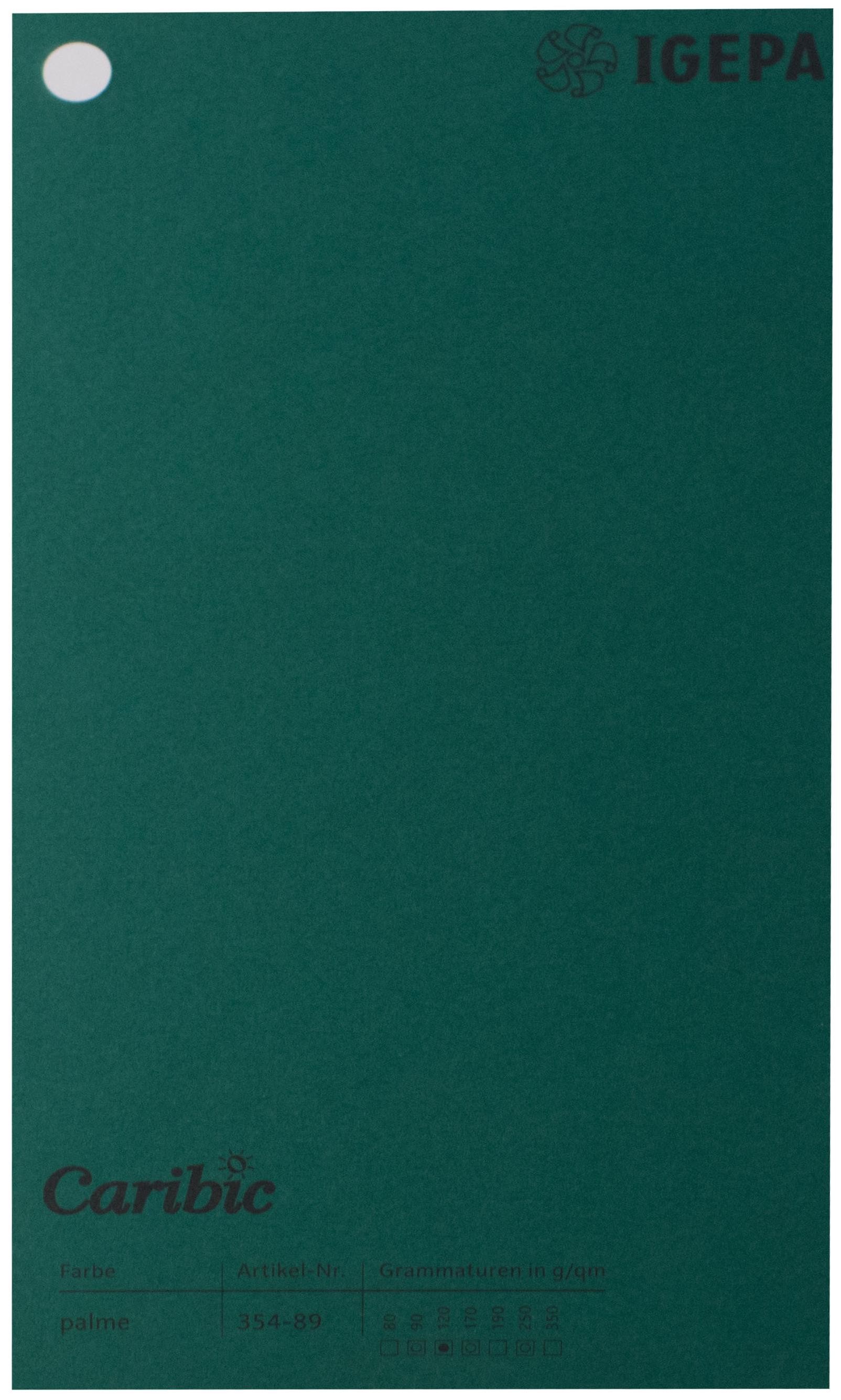 Favini Spalvotas popierius Caribic Nr.89 250g/m2 65x92 cm (t.žalia)