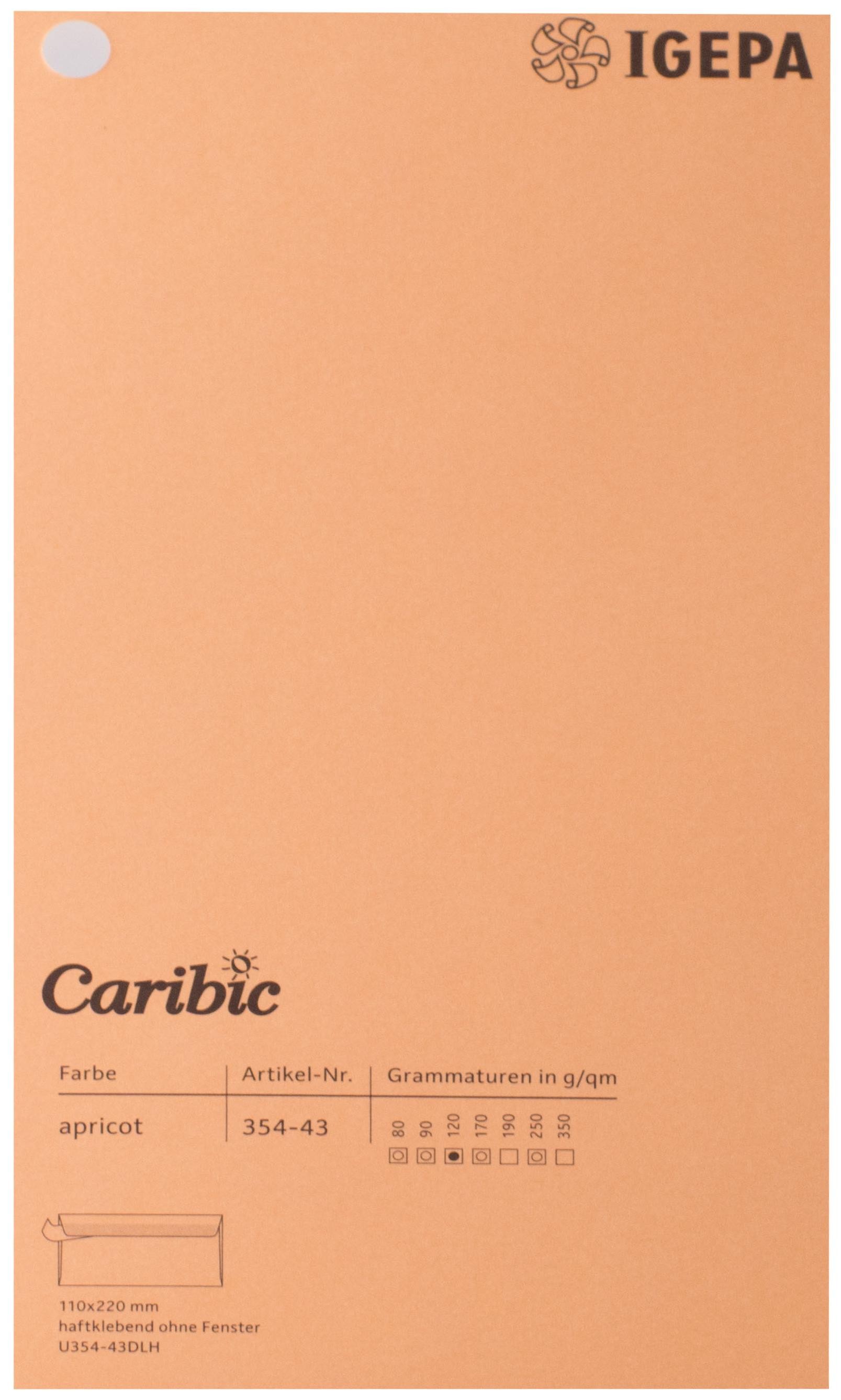 Favini Spalvotas popierius Caribic Nr.43 250g/m2 65x92 cm (abrikosų)