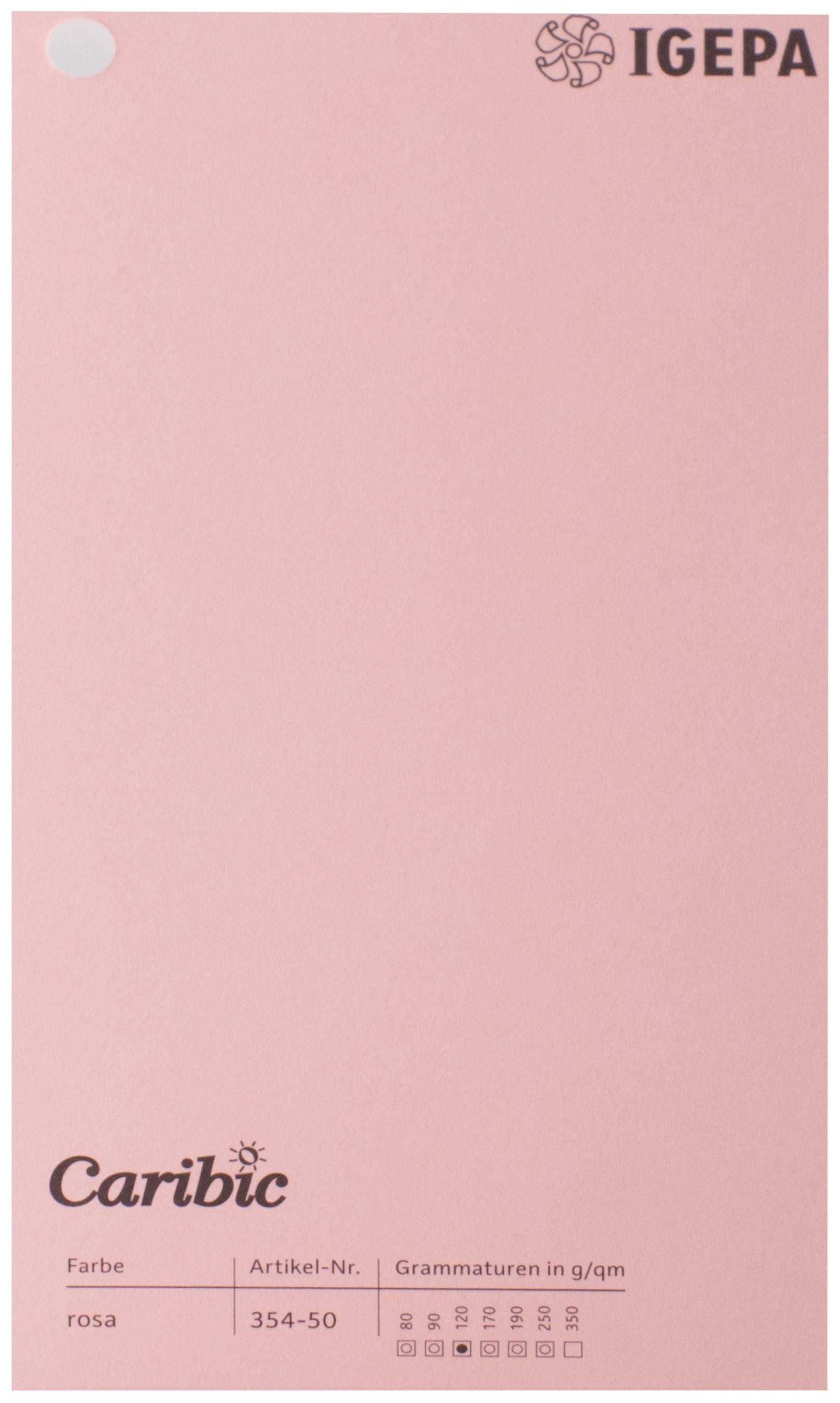 Favini Spalvotas popierius Caribic Nr.50 250g/m2 65x92 cm (šv.rožinė sp.)