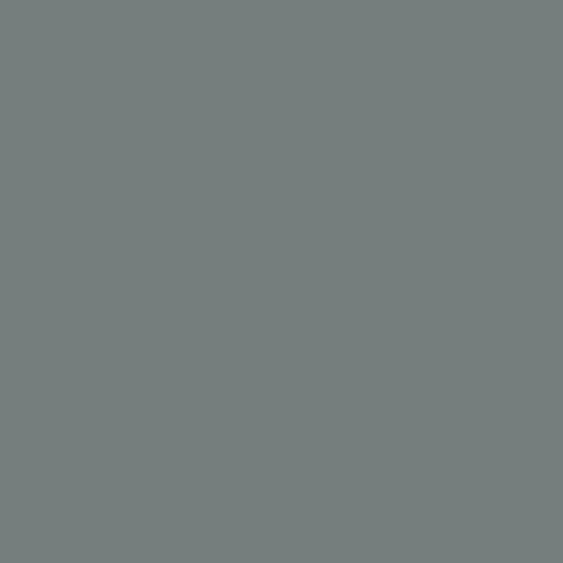 ORAFOL Lipni plėvelė Oracal 641-71G Grey, blizgi