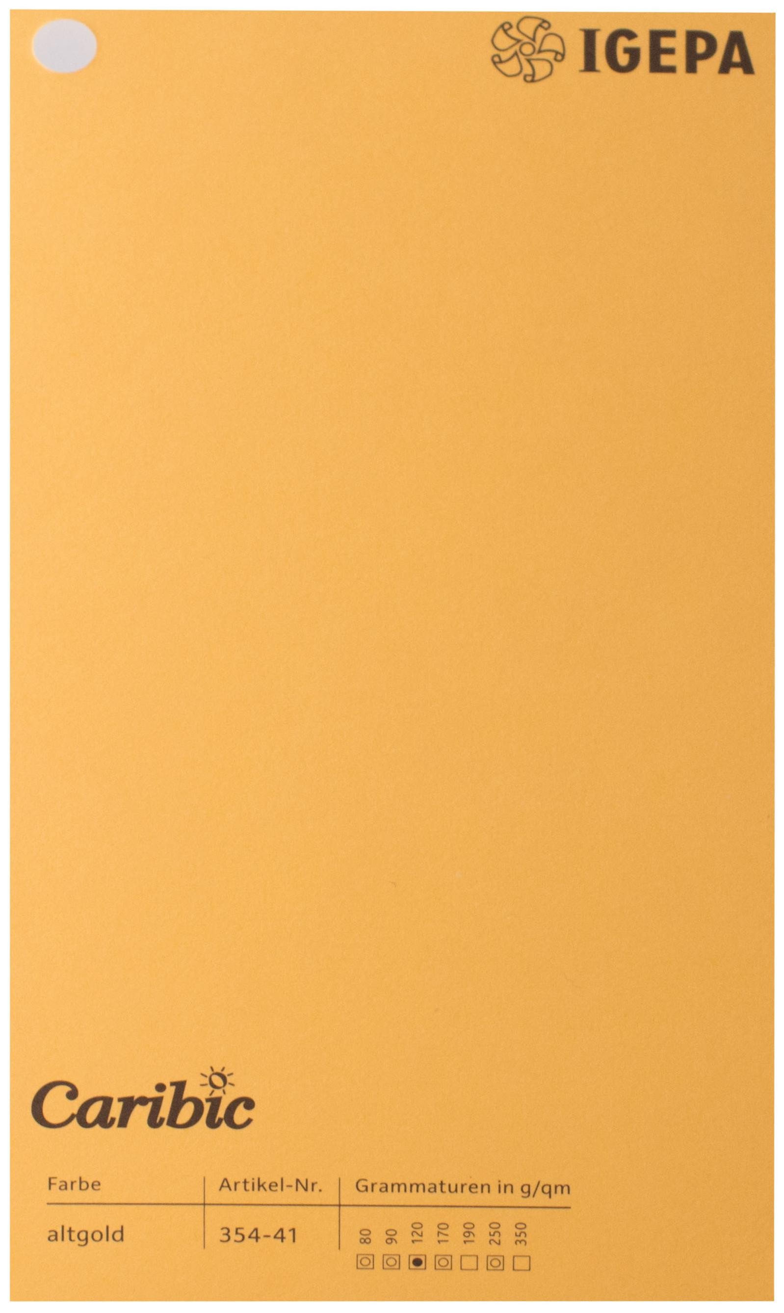 Favini Spalvotas popierius Caribic Nr.41 250g/m2 65x92 cm (aukso)