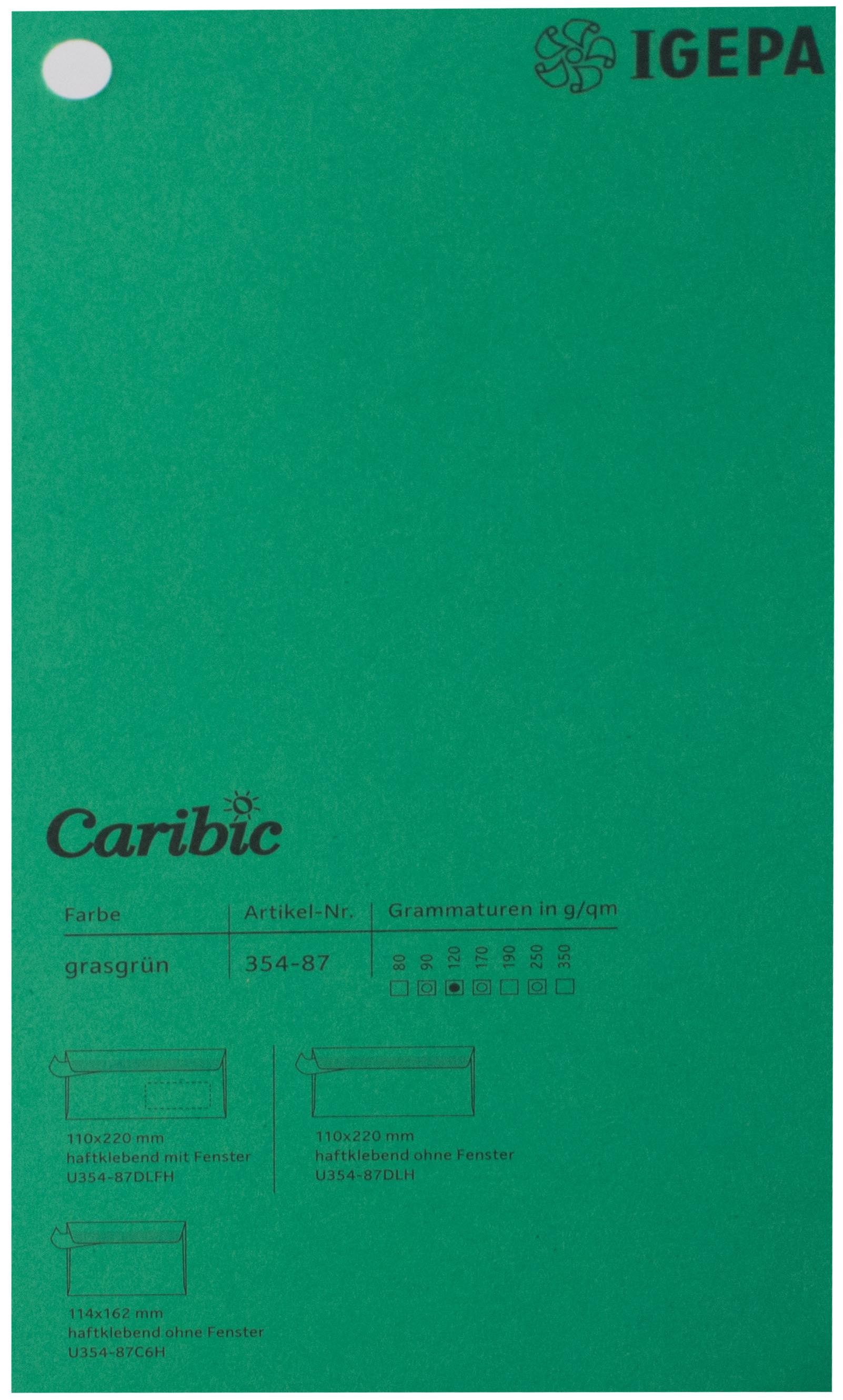 Favini Spalvotas popierius Caribic Nr.87 250g/m2 65x92 cm (žalia)