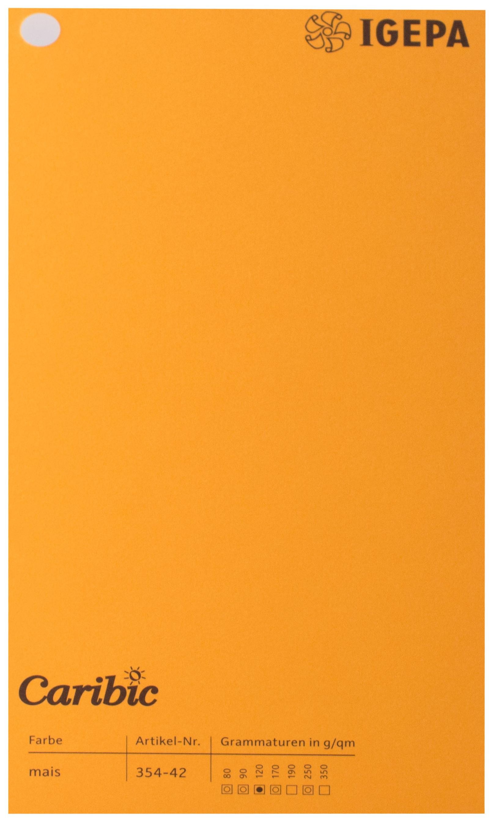 Favini Spalvotas popierius Caribic Nr.42 250g/m2 65x92 cm (apelsinų)