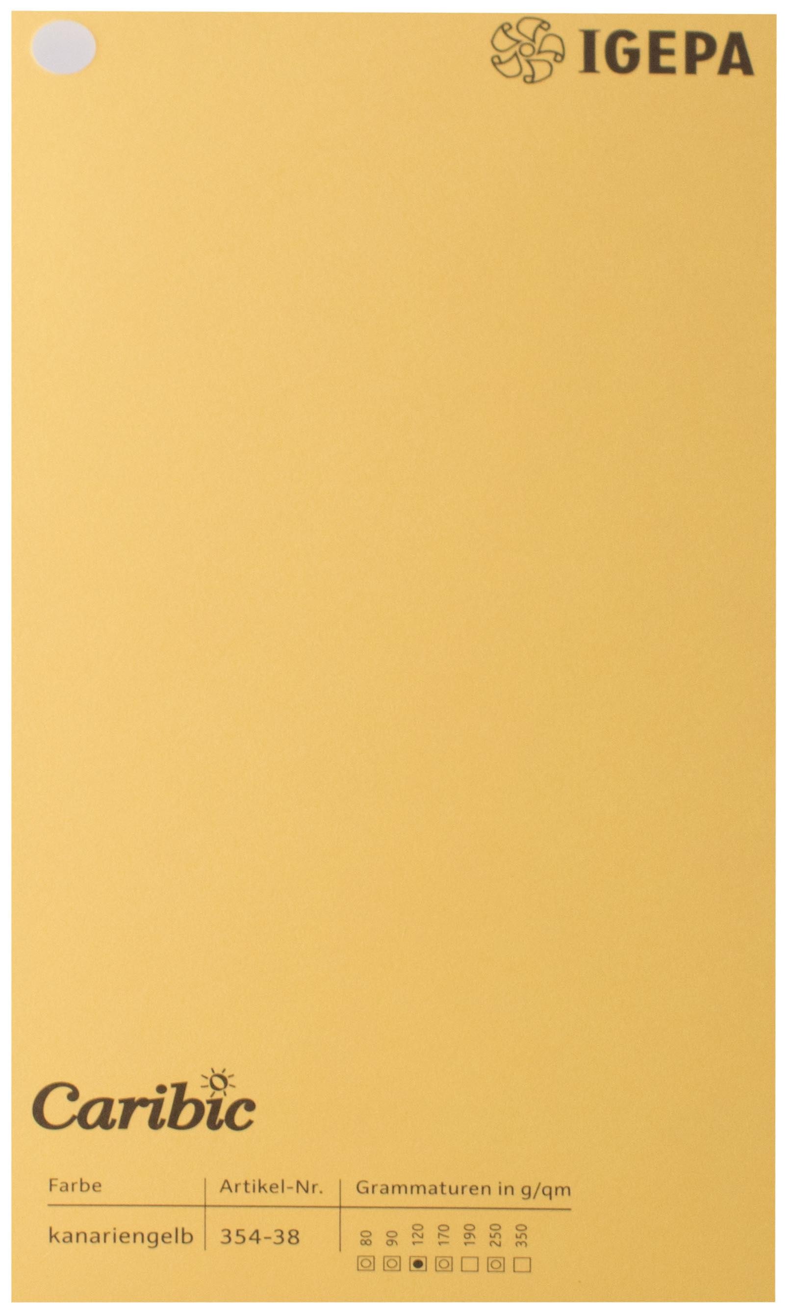 Favini Spalvotas popierius Caribic Nr.38 250g/m2 65x92 cm (kanarėlės)