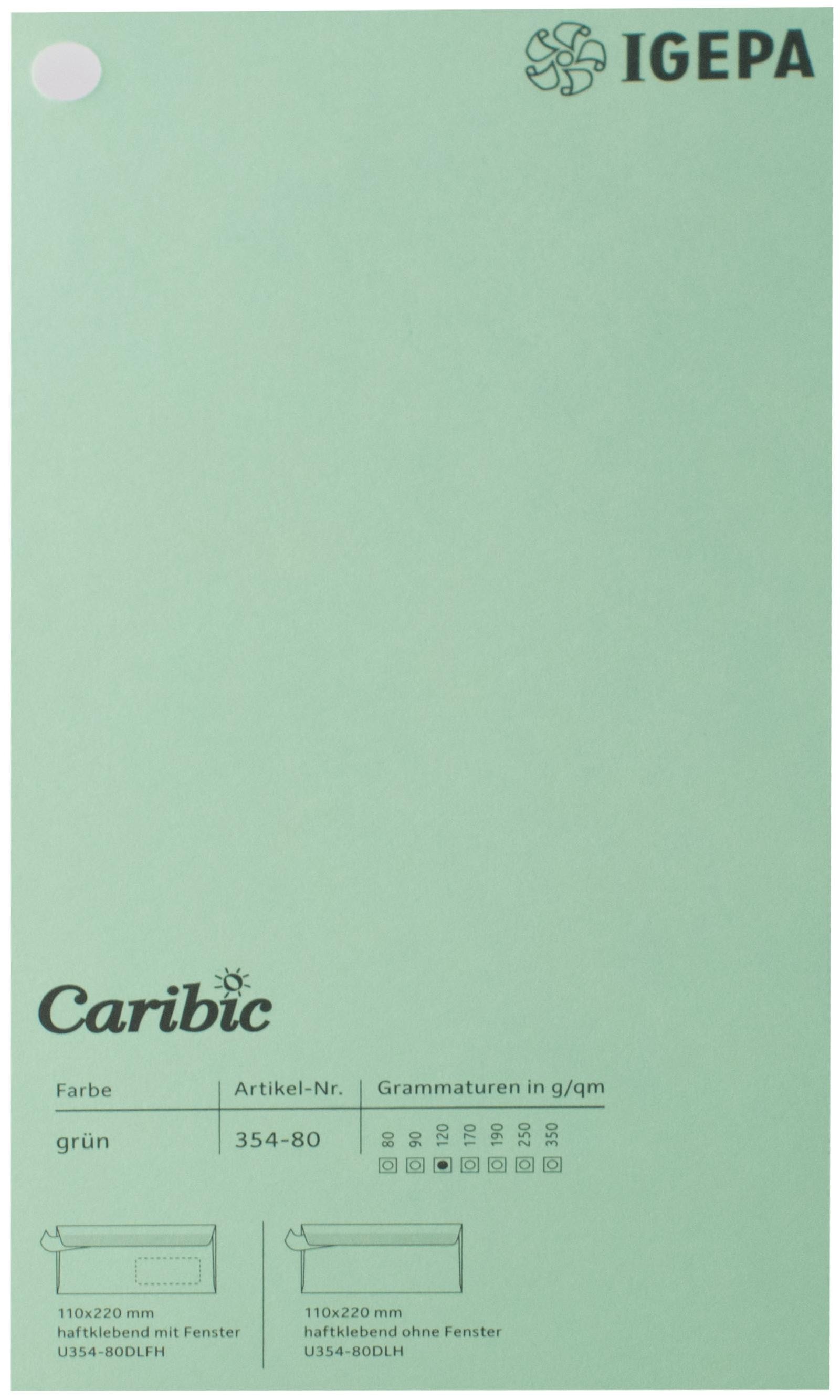 Favini Spalvotas popierius Caribic Nr.80 170g/m2 65x92 cm (šv.žalia)