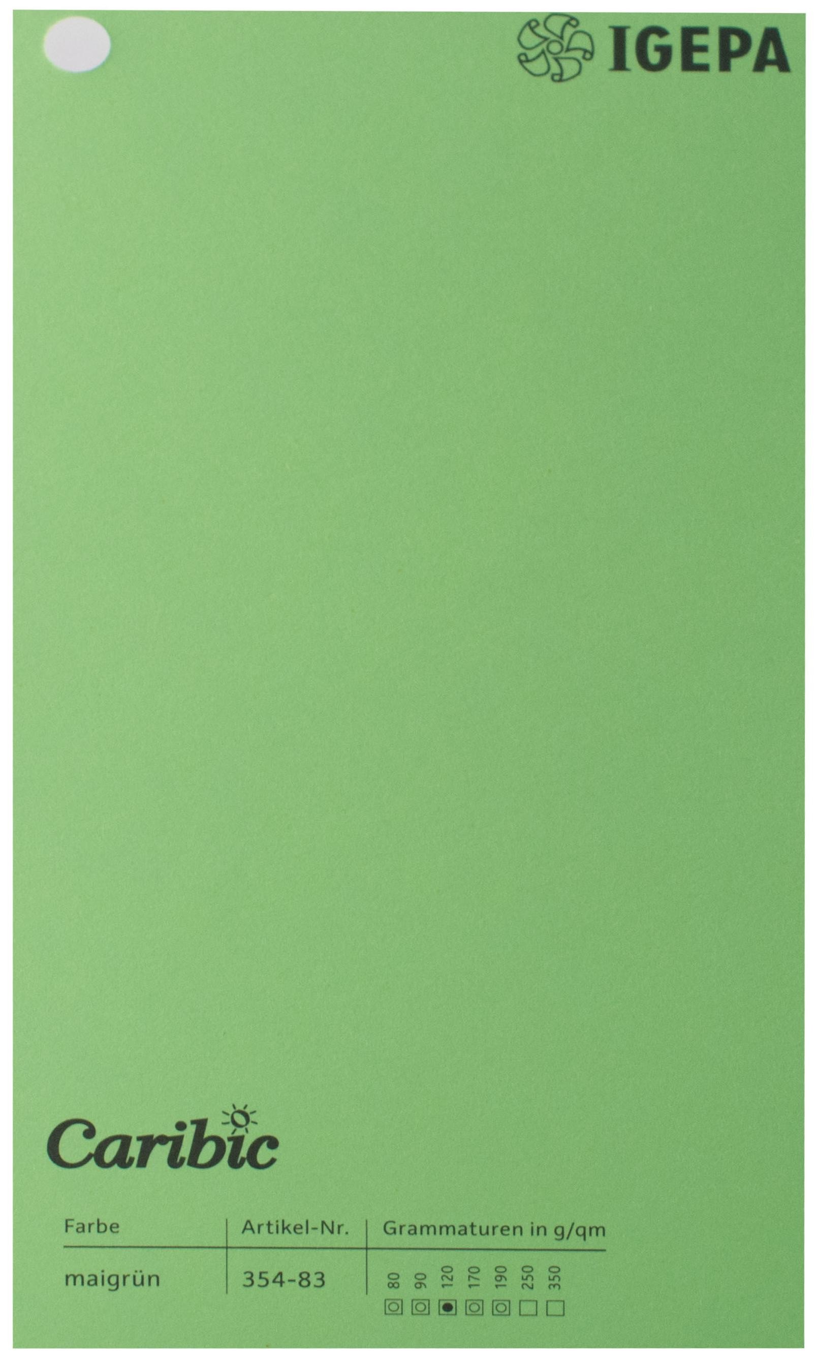 Favini Spalvotas popierius Caribic Nr.83 170g/m2 65x92 cm (salotinė sp.)