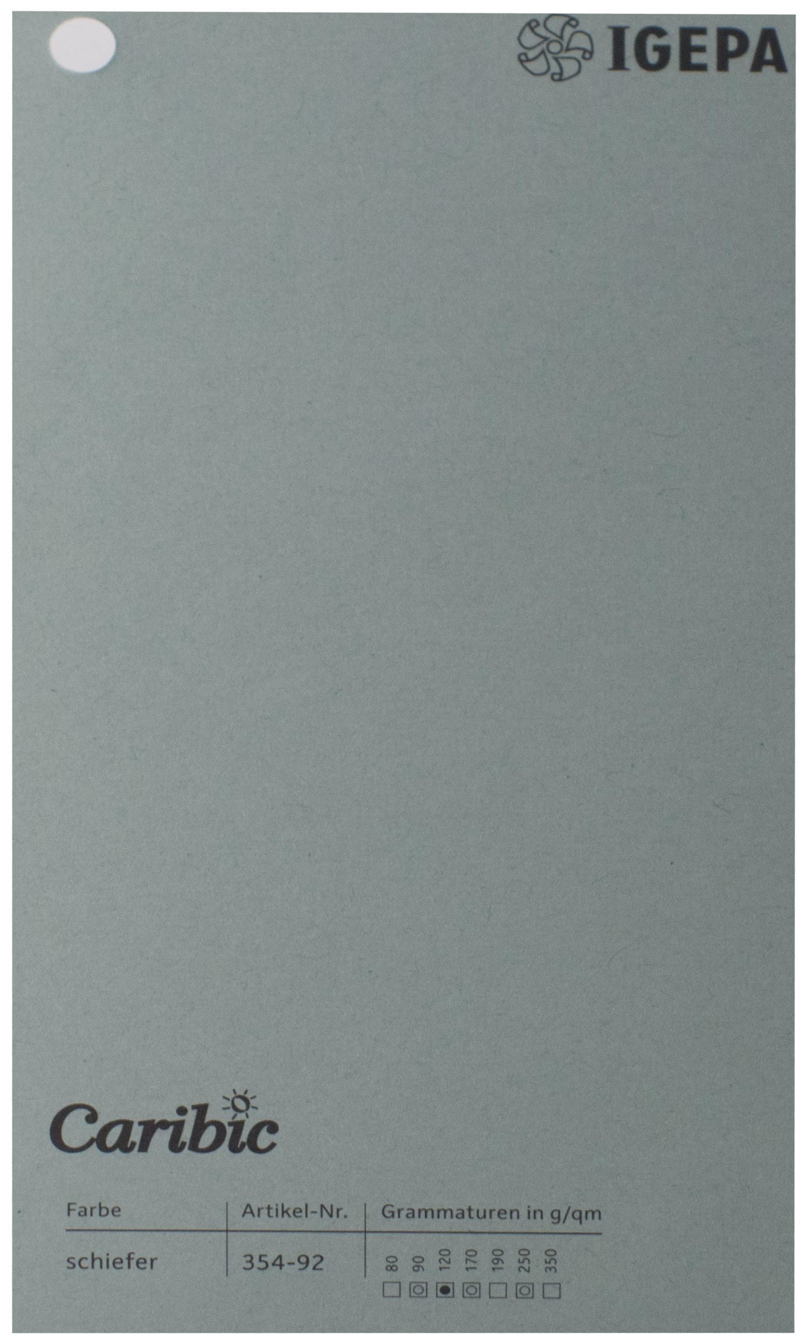 Favini Spalvotas popierius Caribic Nr.92 170g/m2 65x92 cm (t.pilka)