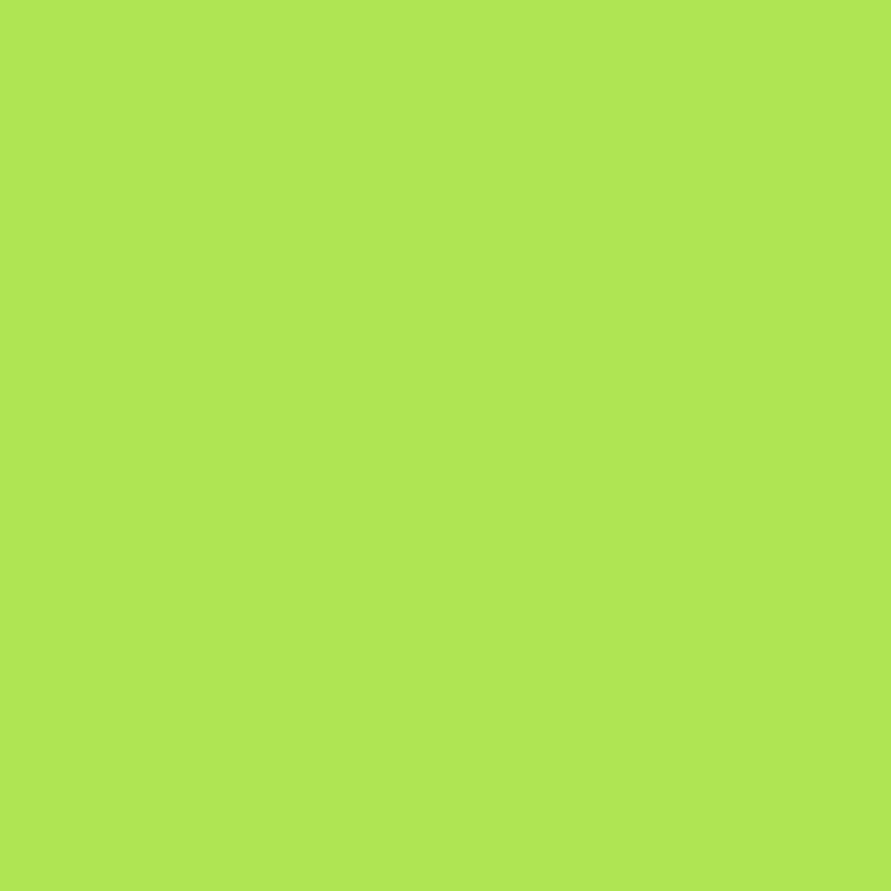 ORAFOL Vitražinė plėvelė Oracal 8300-063 Lime-tree green