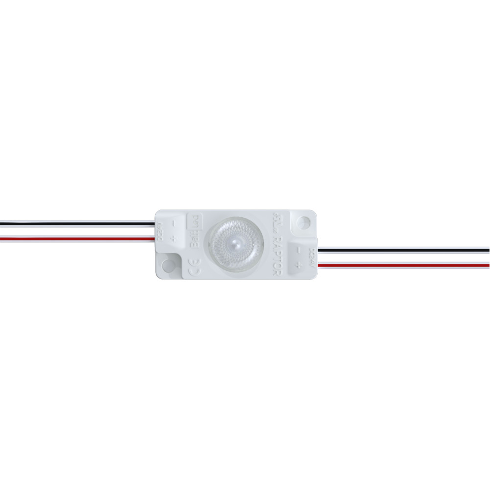 BALTLED LED modulis Raptor - 1 BMP-R1-865E1.0,  šaltai balta 6500K 1W, 24V