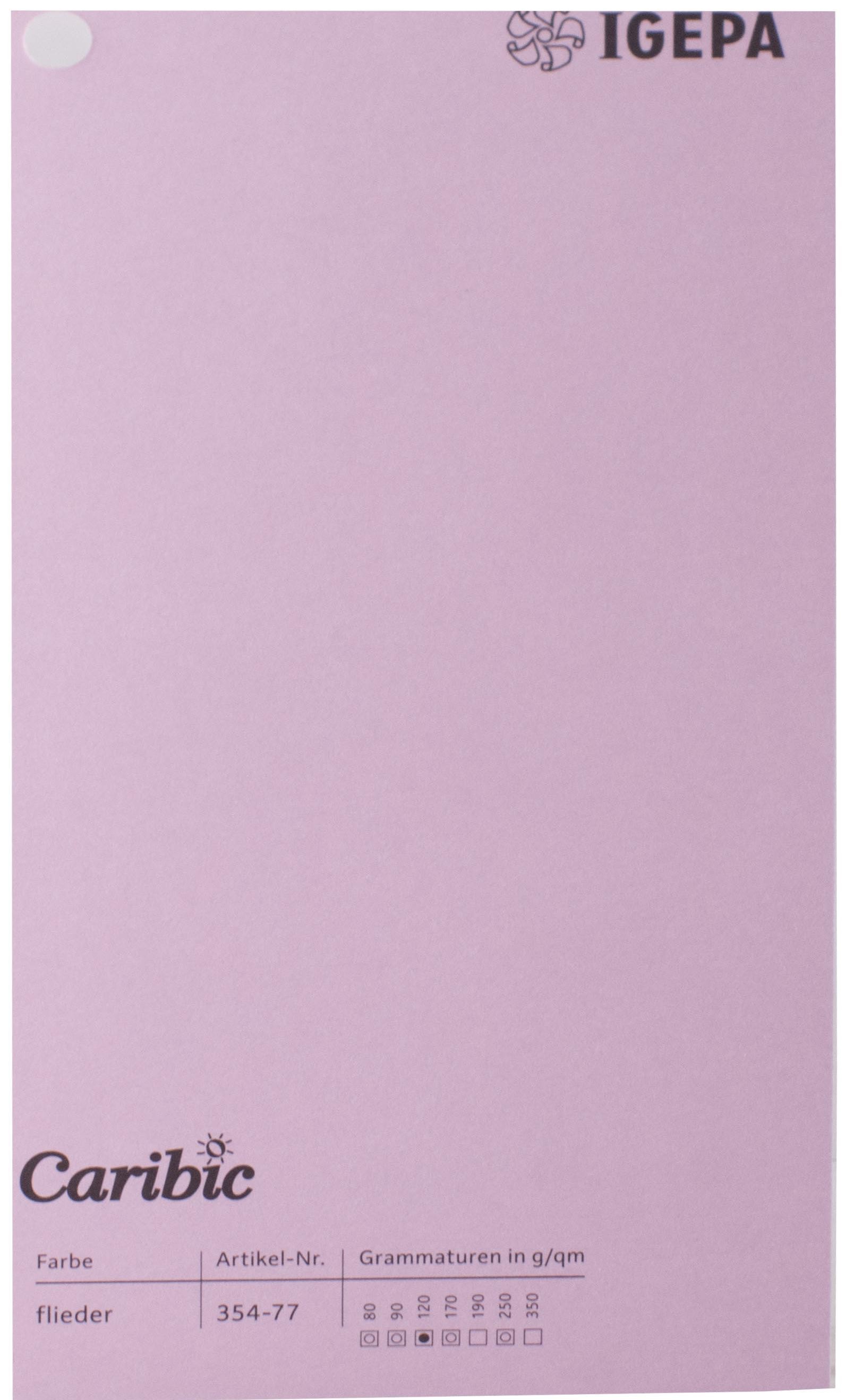 Favini Spalvotas popierius Caribic Nr.77 250g/m2 65x92 cm (alyvinė)