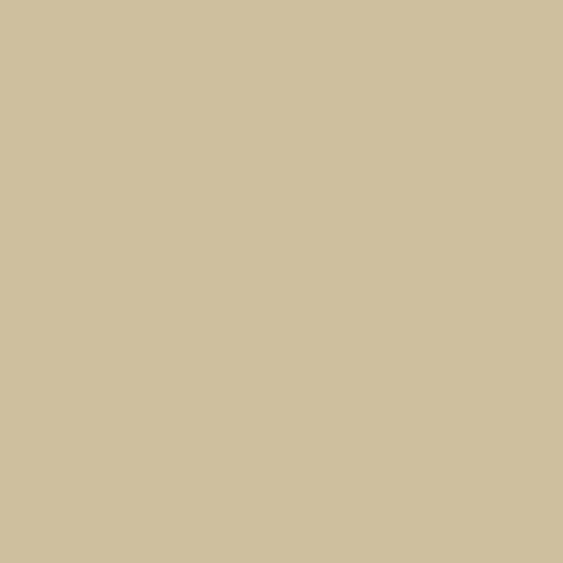 ORAFOL Lipni plėvelė Oracal 641-082M Beige, matinė