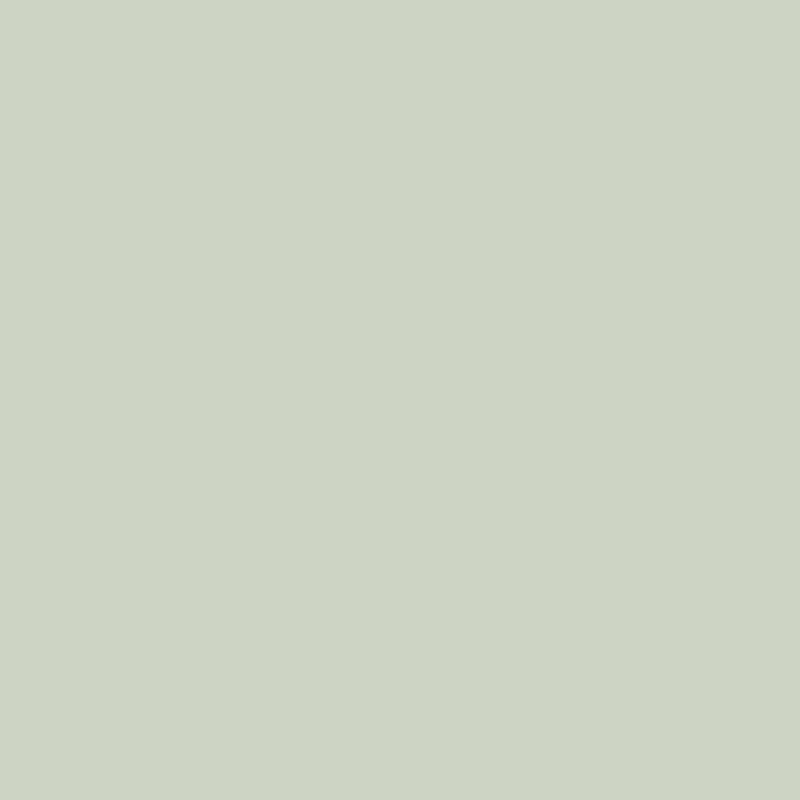 ORAFOL Vitražinė plėvelė Oracal 8300-074 Middle grey