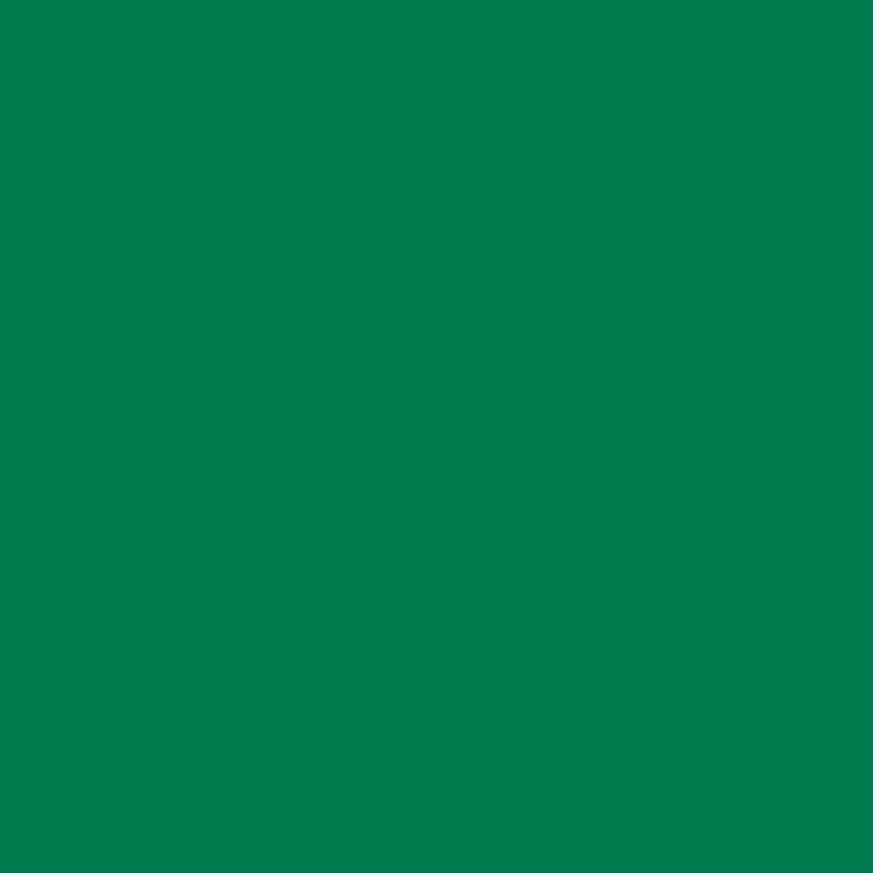 ORAFOL Lipni plėvelė Oracal 641-061M Green, matinė